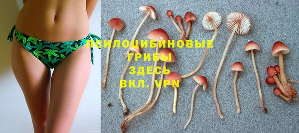 гидропоника Аркадак