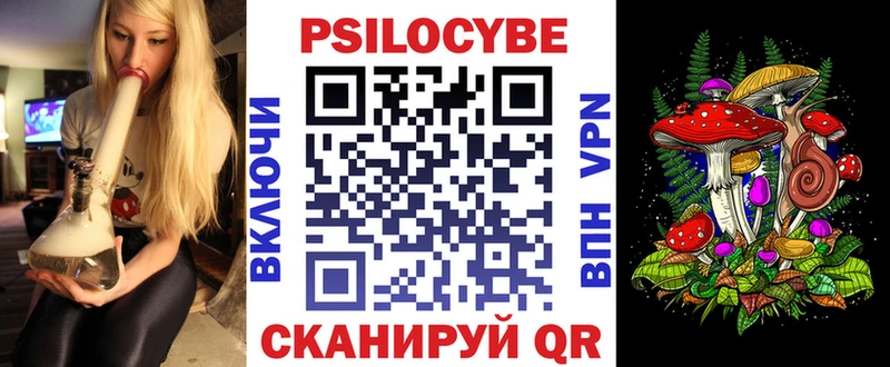 купить наркоту Камешково Галлюциногенные грибы Cubensis